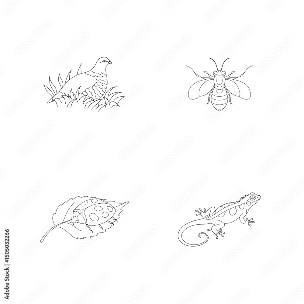 Obraz premium Outlined illustrations of a bird, bee, ladybug, and lizard representing nature and animals