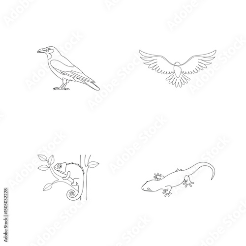 Line art illustrations of birds reptiles and amphibians set against white background