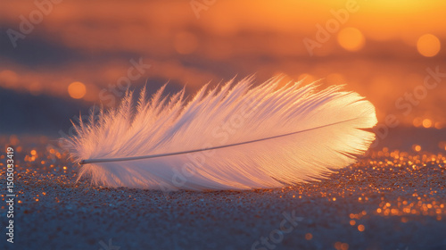 White feather glowing in warm sunlight lying on sparkling sand minimal natural light concept