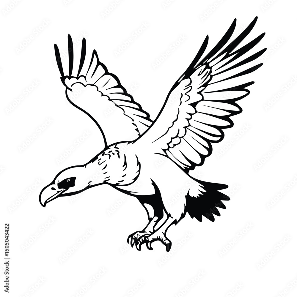 Obraz premium Black and white illustration of a flying griffon vulture in flight against a plain white background. Wildlife illustration of a bird of prey in action.