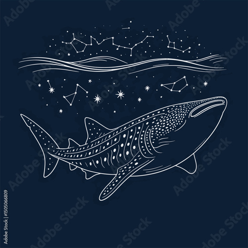 blue whale night scenery line art illustration premium quality