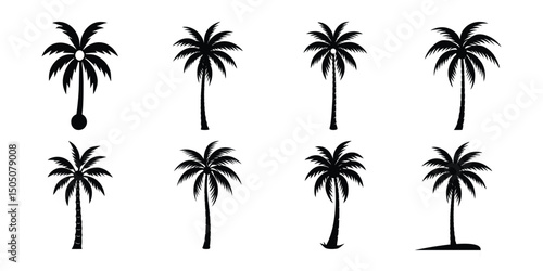 coconut tree bundle collection
