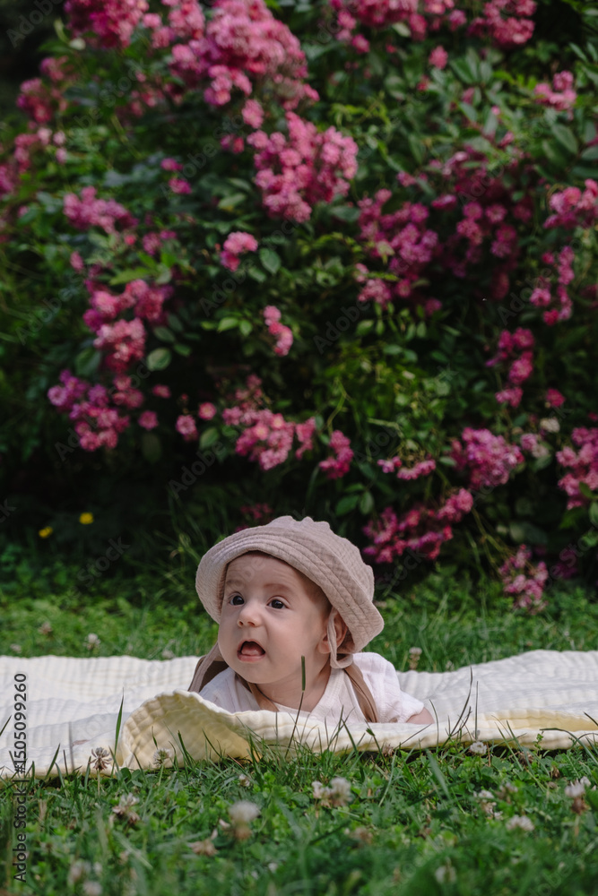 Child Lying on Blanket Surrounded by Pink Flowers Child Lying on Blanket Surrounded by Pink Flowers