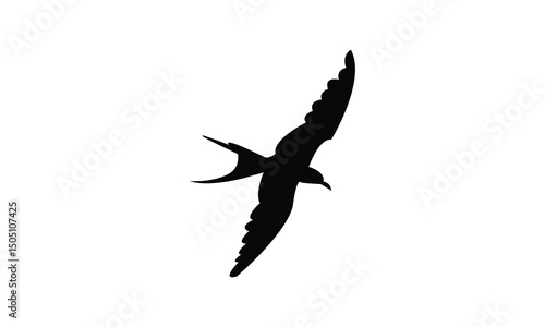 Flying Aleutian tern bird Silhouette Design  And Vector Illustration. 