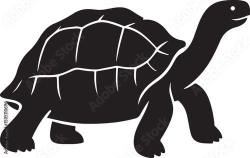 galapagos tortoise vector