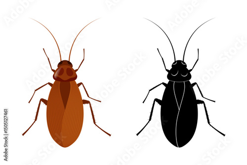 Cockroach insect and its silhouette isolated on white background