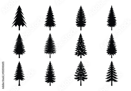 set of pine tree silhouette on white background. Christmas tree, holiday trees collection