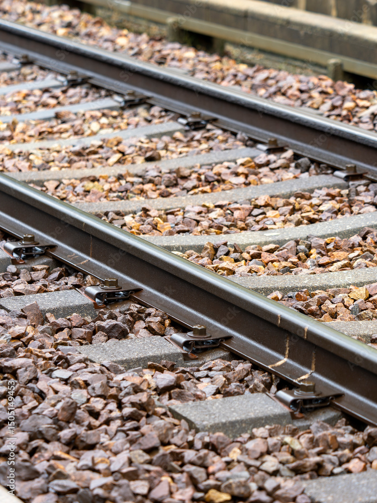 Naklejka premium 雨に濡れた鉄道の線路