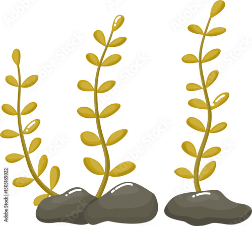 Green seaweed with rock illustration