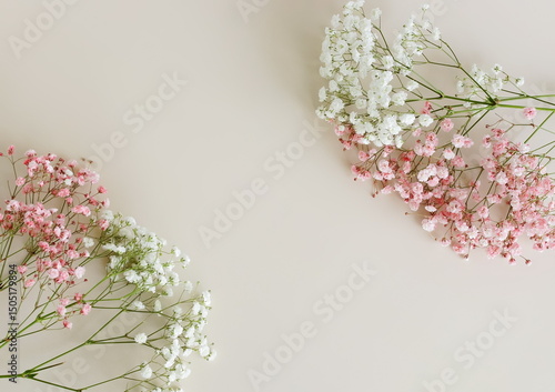 Flowers background template with copy space.Pink and white gypsophila flowers or baby's breath flowers close up frame on light beige background top view . Holiday backdrop.
