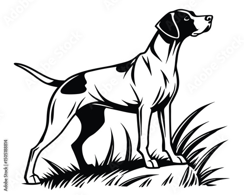 Elegant english pointer dog vector illustration standing proudly in black and white design style art