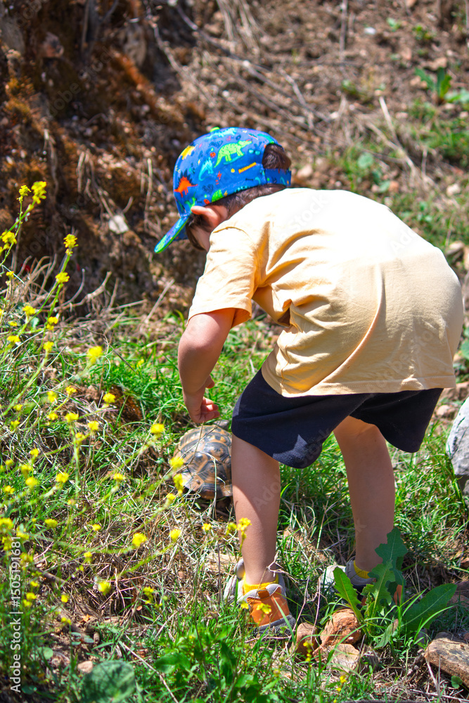Fototapeta premium Boy touching turtle or tortoise in nature. Toddler and turtle. Children's love or awareness of nature. Model, people, human. Kid. Animal. Vertical photo.