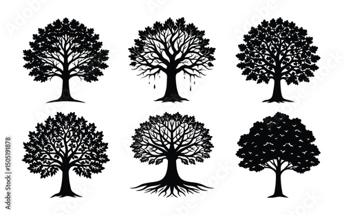 bundle of oak tree silhouette on white BG