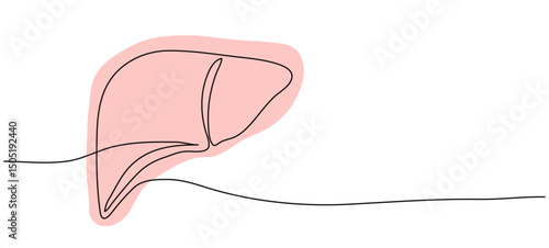 Human Liver continuous one line drawing. Banner with copy space for text.