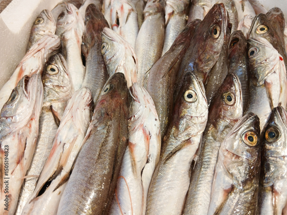 Obraz premium Fresh fish lying in a fish market stall