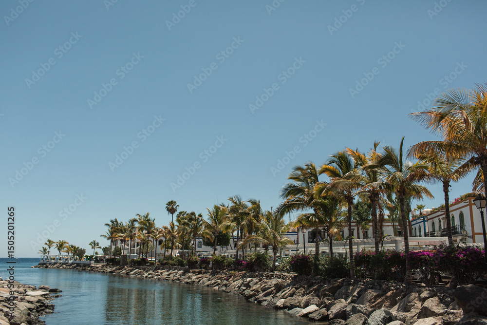 Obraz premium Coastal View with Palm Trees and Waterfront