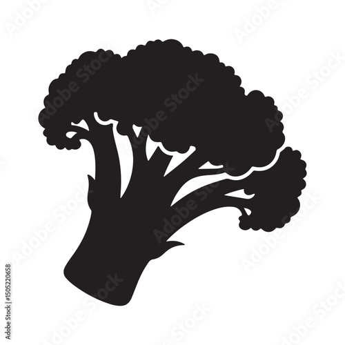 Broccoli style vector illustration Silhouette White background