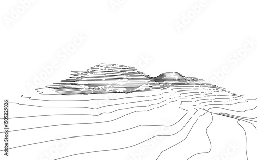 Wireframe surrounding contour. Topographic element pattern for background. Landscape topography contour line and layer. Illustration graphic.