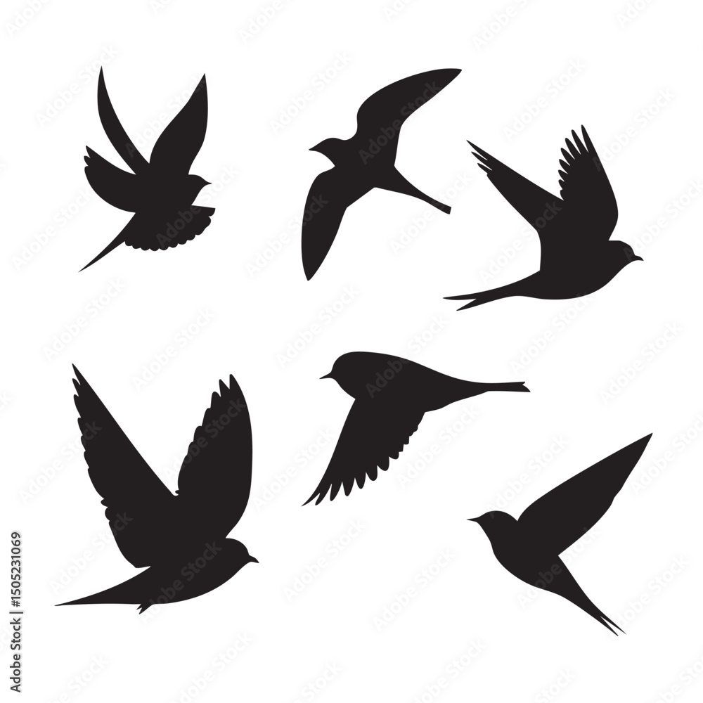 Obraz premium bird in flight silhouette set, Black & White silhouette set 
