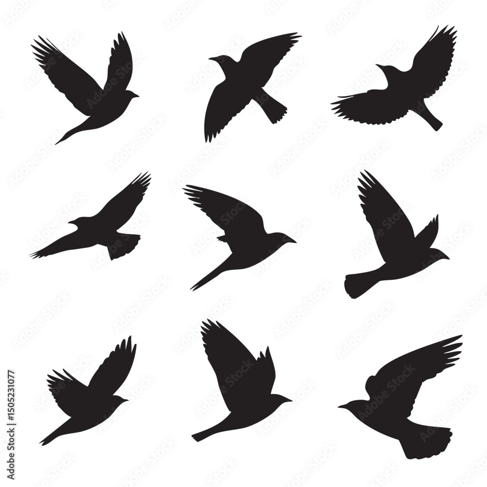 Obraz premium bird in flight silhouette set, Black & White silhouette set 