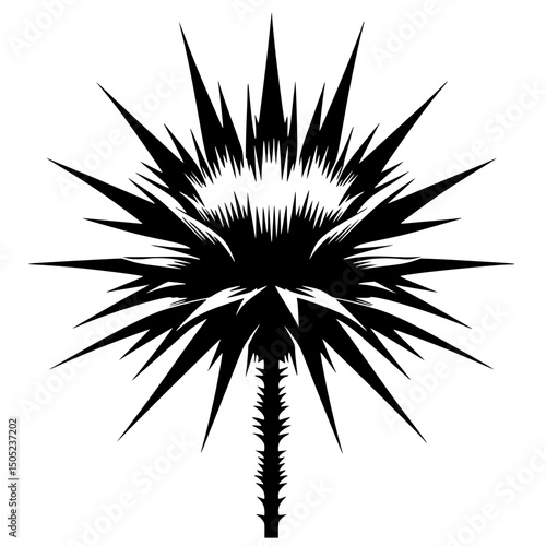 Silhouette of a thorny flower
