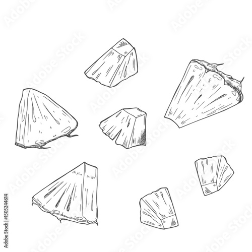 Pineapple pieces and slices sketch. Set of ink sketches. Hand drawn vector illustration.