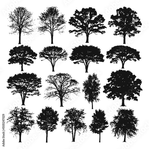 silhouette tree line drawing set, Side view, set of graphics trees elements outline symbol for architecture and landscape design drawing. Vector illustration in stroke fill in white. Tropical