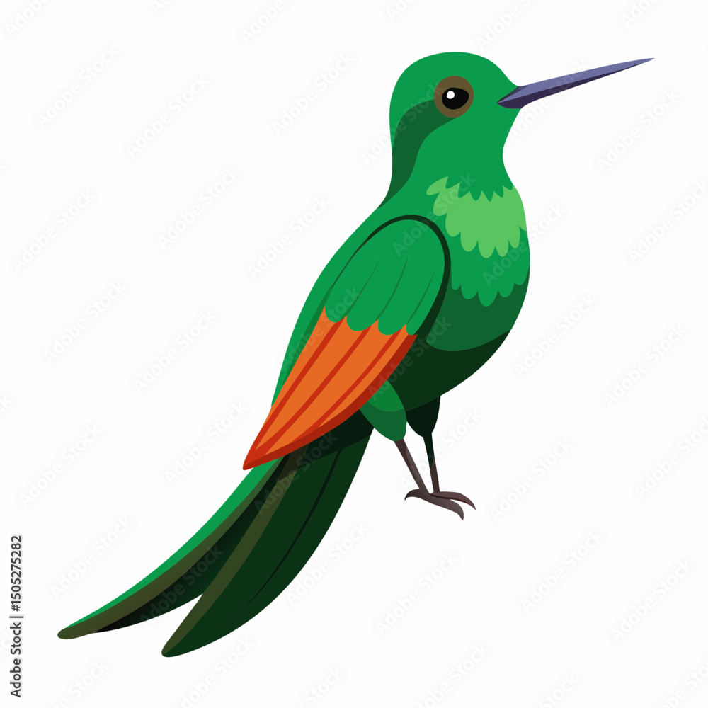 Fototapeta premium Realistic full-body illustration of the rare Honduran Emerald bird on a white background, perfect for wildlife and nature-themed digital projects.