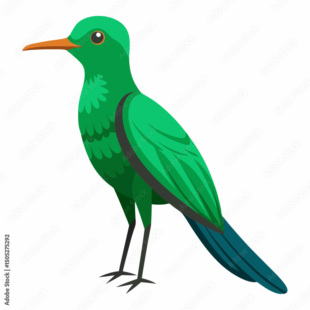 Obraz premium Realistic full-body illustration of the rare Honduran Emerald bird on a white background, perfect for wildlife and nature-themed digital projects.
