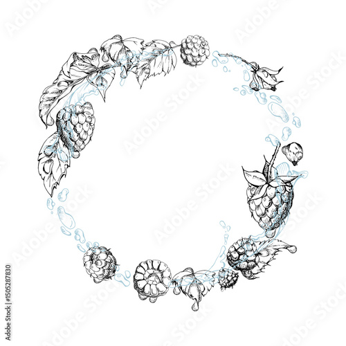 Raspberry berries wreath flying in water splash with leaves, dew drops, ripe garden dewberry cloudberry mulberry loganberry hand drawn in vector ink. Isolated circle frame. Fresh grocery store, drinks