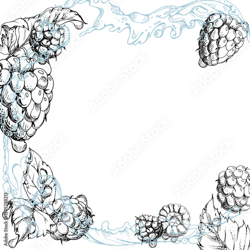Raspberry berries leaves flying in dew drops, water splash, ripe garden dewberry cloudberry mulberry loganberry hand drawn in vector ink. Isolated border square corner frame. Farmers market stationery