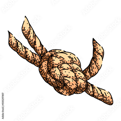 square rope knot sketch hand drawn vector