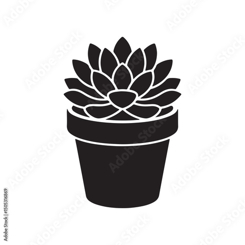 Succulents plants silhouette Vector icon