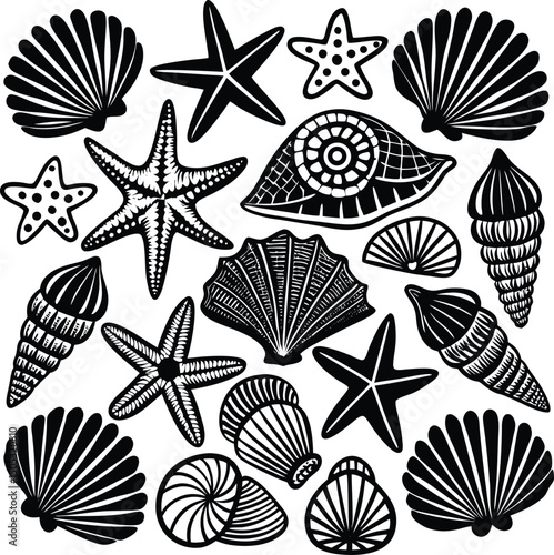 Collection of black and white seashells and starfish illustrations