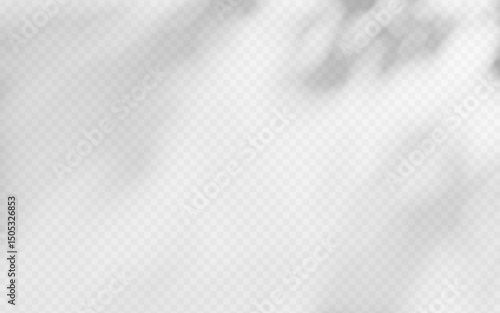 Abstract shadow overlay from tree branch on a transparent background.