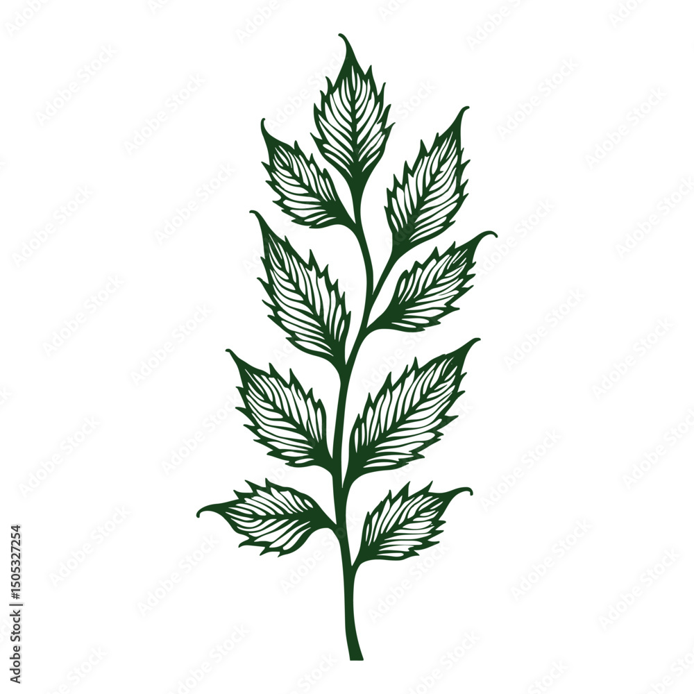 Fototapeta premium Stylized Leaf Branch In Forest Green