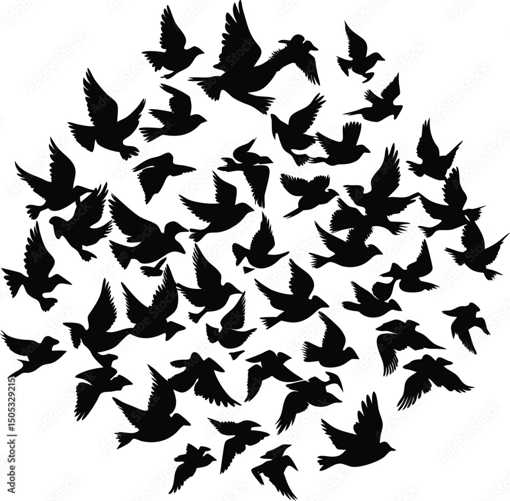 Fototapeta premium bird flock in flight