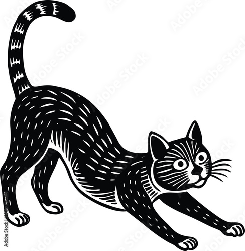 cat stretching