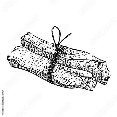 incense palo santo sketch hand drawn vector