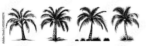 Palm trees collection. Vector illustration. 