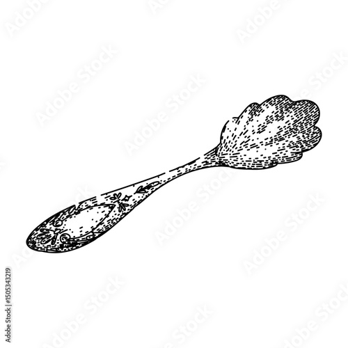 sterling spoon engraved silver sketch hand drawn vector