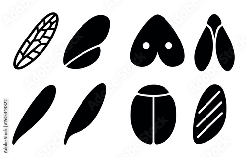 Black silhouette of various insect wings and bodies