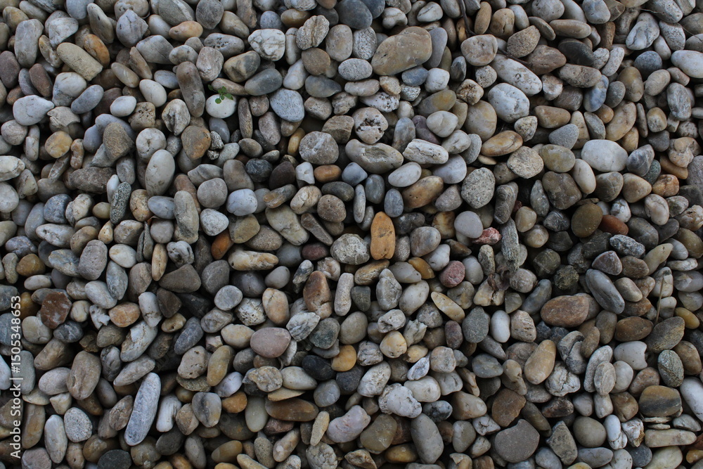 Smooth round pebbles texture background. Pebble sea beach close-up, dark wet pebble and gray dry pebble. natural gravel, texture from gravel. Gravel texture. Pebble stone background. Granite gravel
Smooth round pebbles texture background. Pebble sea beach close-up, dark wet pebble and gray dry pebble. natural gravel, texture from gravel. Gravel texture. Pebble stone background. Granite gravel