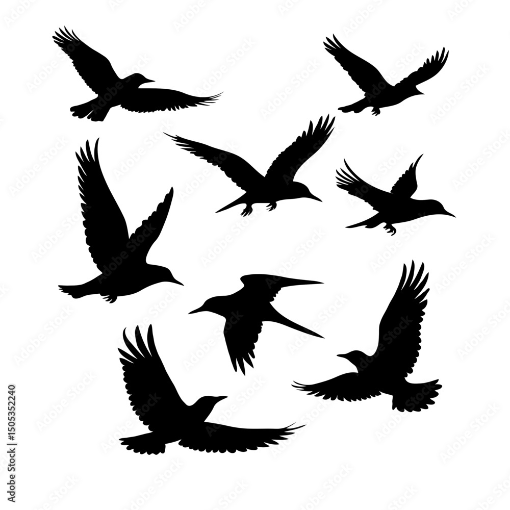 Obraz premium Flying birds silhouette set in motion vector illustration