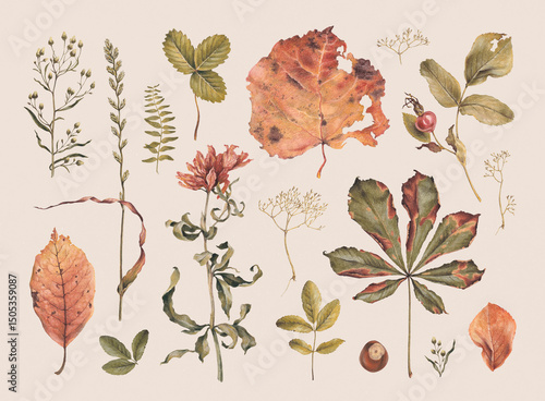 Wallpaper Mural Hand drawn illustration of dried herbs, leaves and flowers. Perfect for posters, home textile, wall decor, apparel, packaging design, stationery and other printed goods Torontodigital.ca