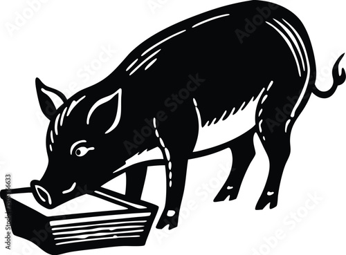 Pig Eating From Trough