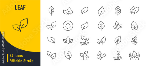 Leaf web icons in line style. Plants, ecology, herbal, vegetarian, eco, nature, collection. Vector illustration.