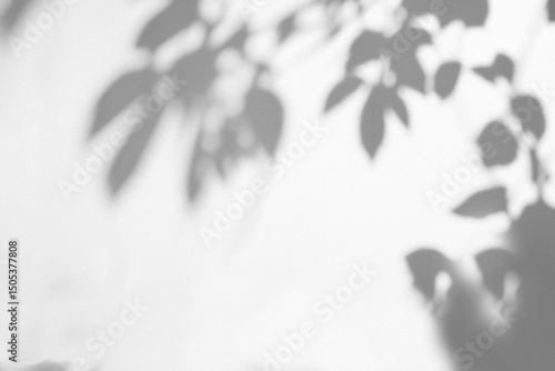 Twilight Shadow Overlays