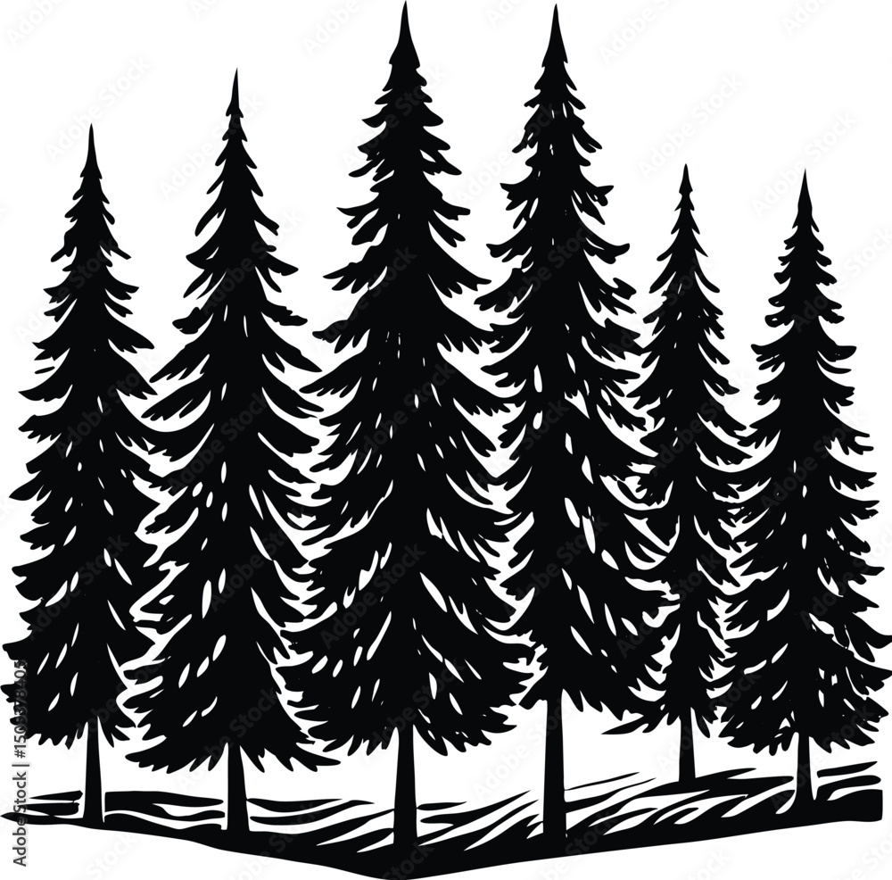 Obraz premium Row Of Pine Trees