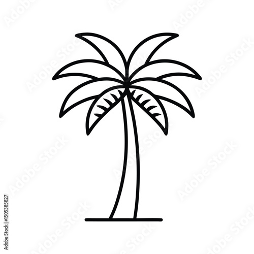 palm tree silhouette
